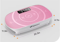 2398P2 mini